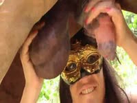 Zoophilia porn film with a horse
